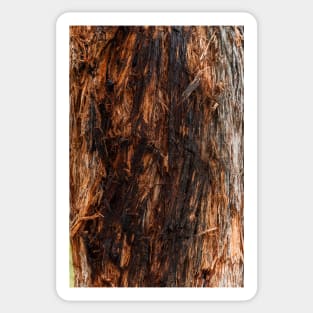 Fire Red String Bark Burnt Tree Trunk - Alternative Sticker